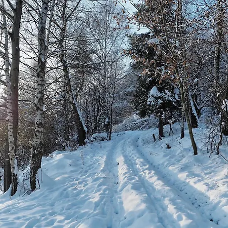 Шале Hillout - W Milowce - Workation - Praca Zdalna *