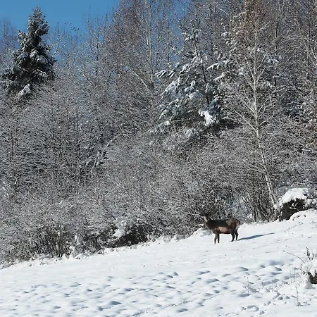 Hillout - W Milowce - Workation - Praca Zdalna