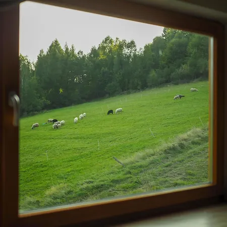 Hillout - W Milowce - Workation - Praca Zdalna Milówka