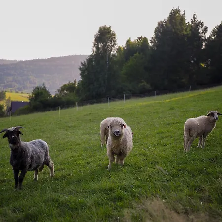 Hillout - W Milowce - Workation - Praca Zdalna * Milówka