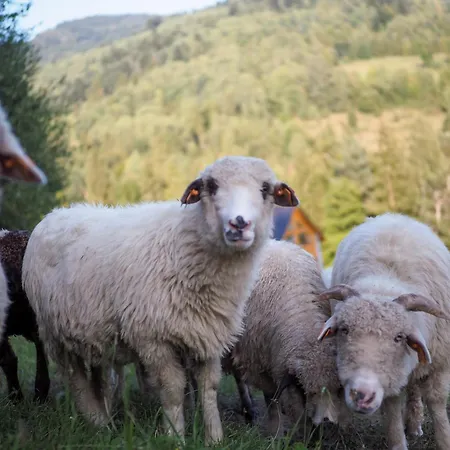 Hillout - W Milowce - Workation - Praca Zdalna Alpesi faház Milówka