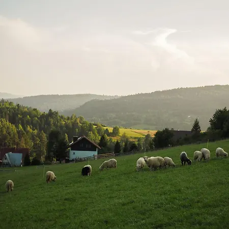 Alpesi faház Hillout - W Milowce - Workation - Praca Zdalna