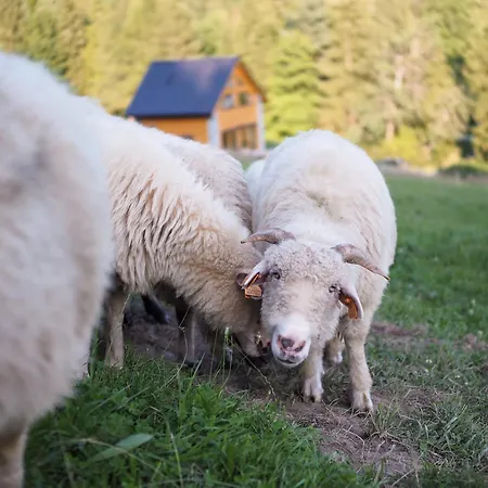 シャレー Hillout - W Milowce - Workation - Praca Zdalna