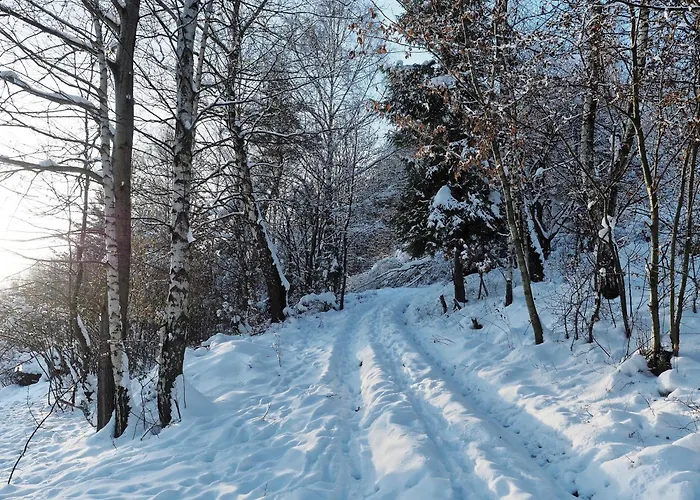 Horská chata Hillout - W Milowce - Workation - Praca Zdalna *