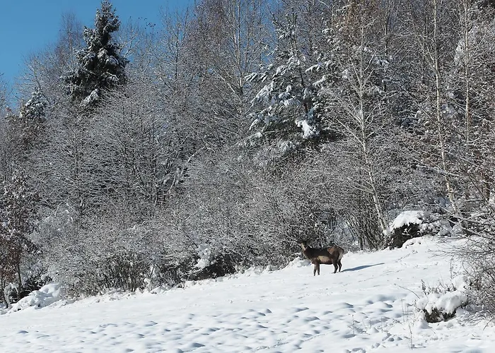 Hillout - W Milowce - Workation - Praca Zdalna