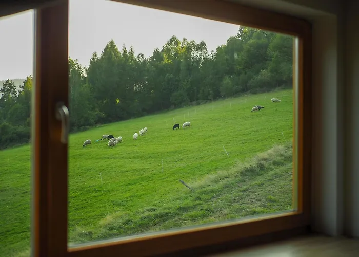 Hillout - W Milowce - Workation - Praca Zdalna מילובקה