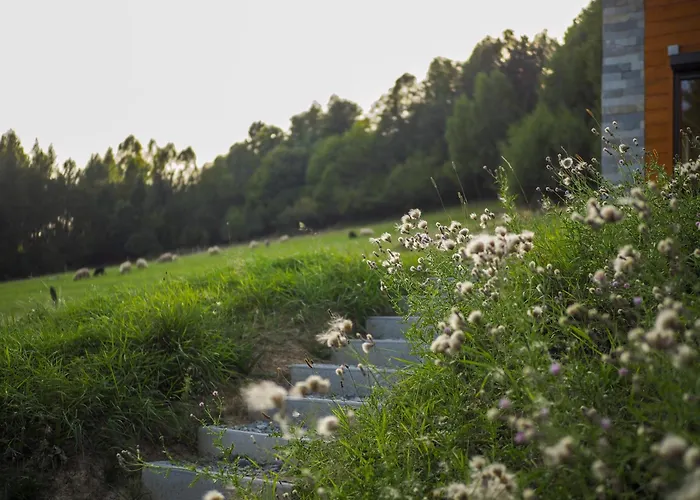 Hillout - W Milowce - Workation - Praca Zdalna בקתה *