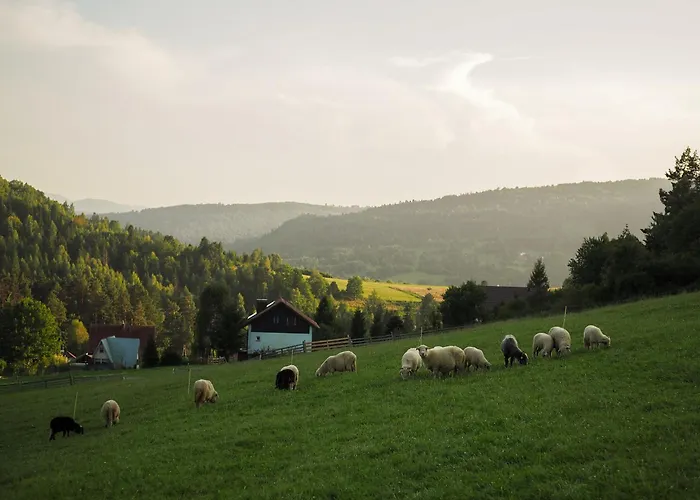 Horská chata Hillout - W Milowce - Workation - Praca Zdalna