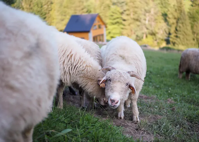 Horská chata Hillout - W Milowce - Workation - Praca Zdalna